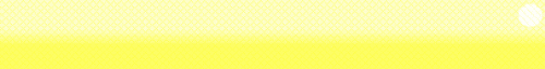 banner-bem-vindo2